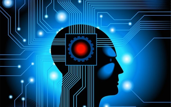 �˹����ܽ���ʧҵ�ʳ�50%