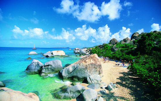 ���Ͼ־ٰ���������������ר��������׫д��ѵ��